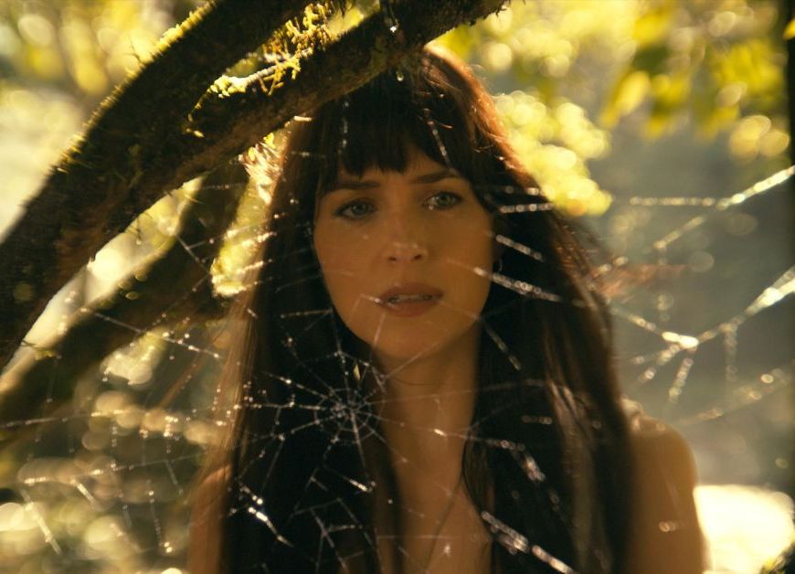 Crítica | Filme | Madame Teia