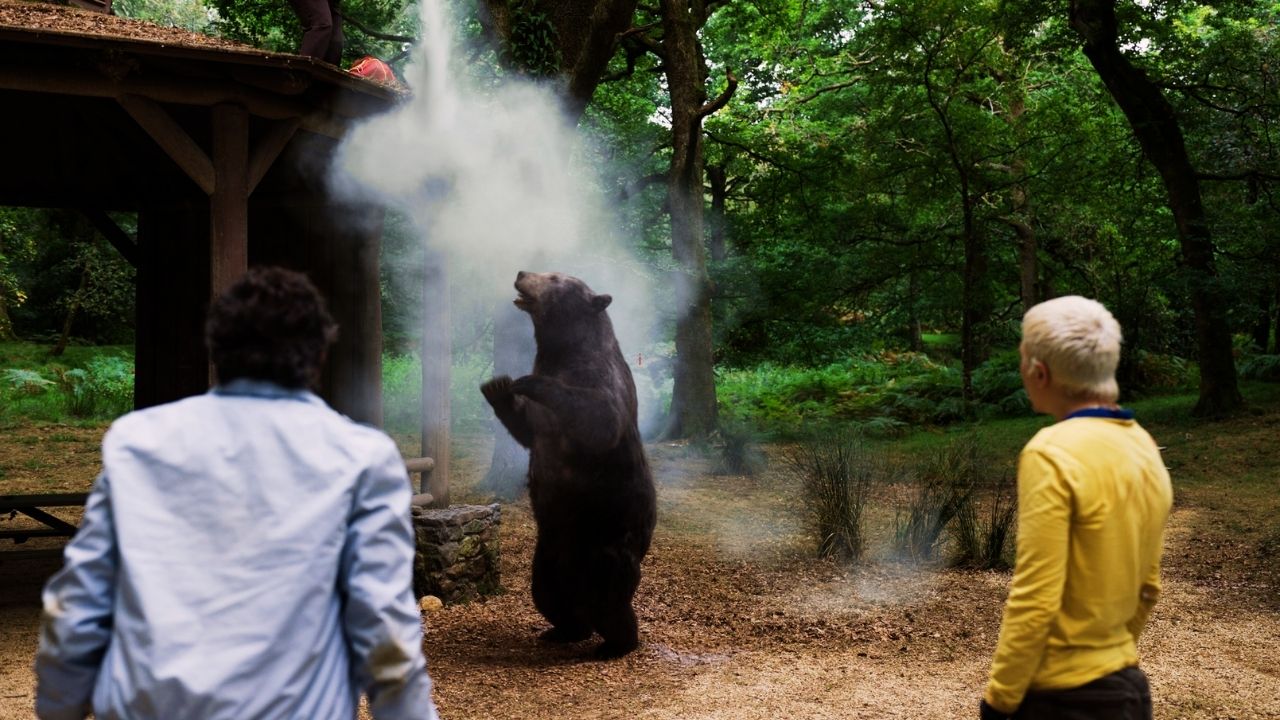 Crítica | Filme | O Urso do Pó Branco