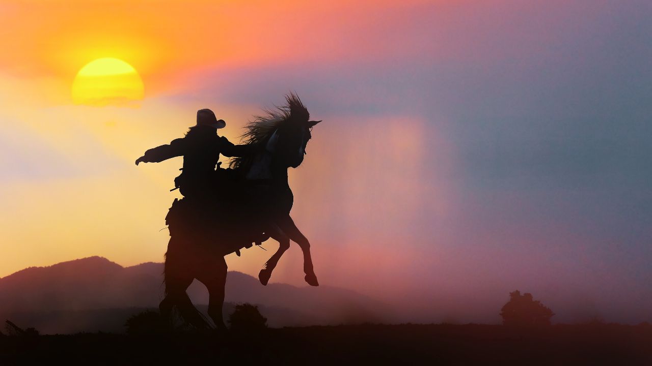 Conto | O vaqueiro da madrugada