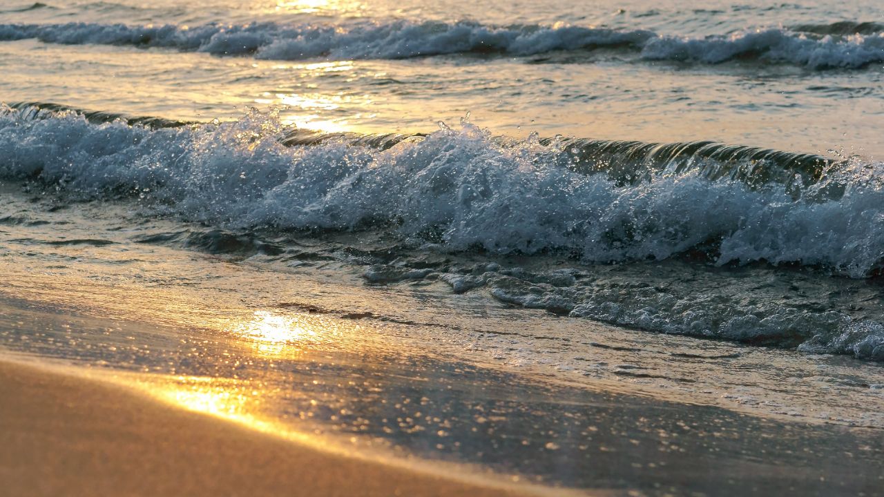 Poesia | Ao mar me desculpo