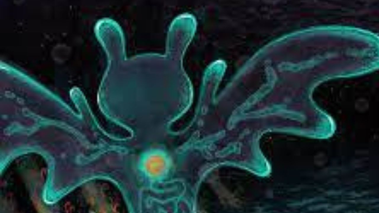 Crítica | Música | plastic death