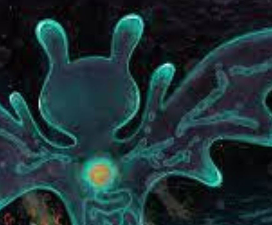 Crítica | Música | plastic death