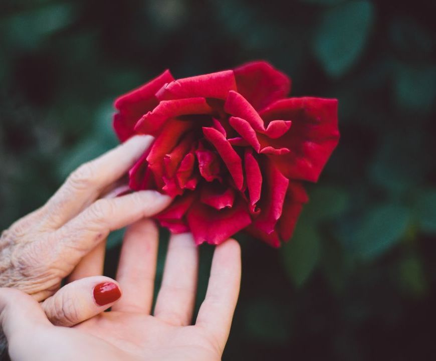 Poesia | Prefiro as rosas