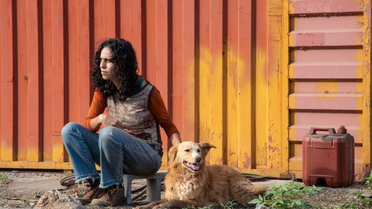 Crítica | Filme | Suçuarana