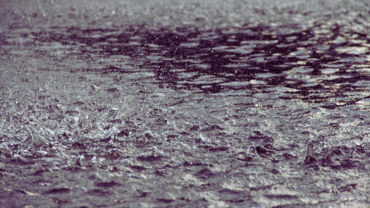 Poesia | Fragmentos do dia