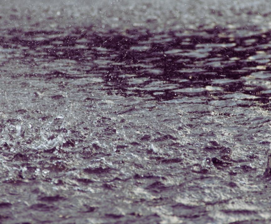 Poesia | Fragmentos do dia