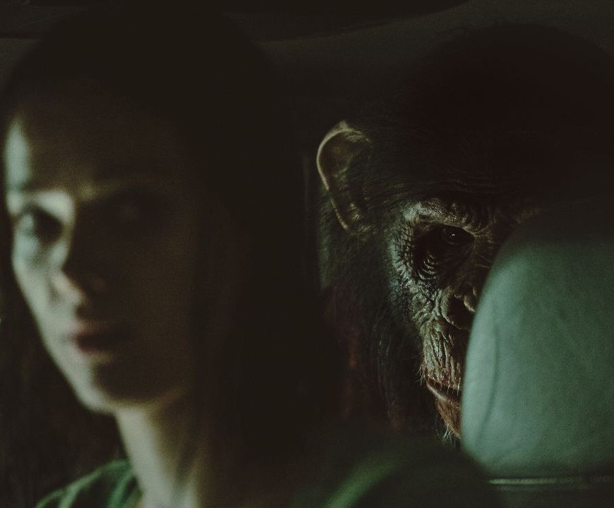 Crítica | Filme | O Primata