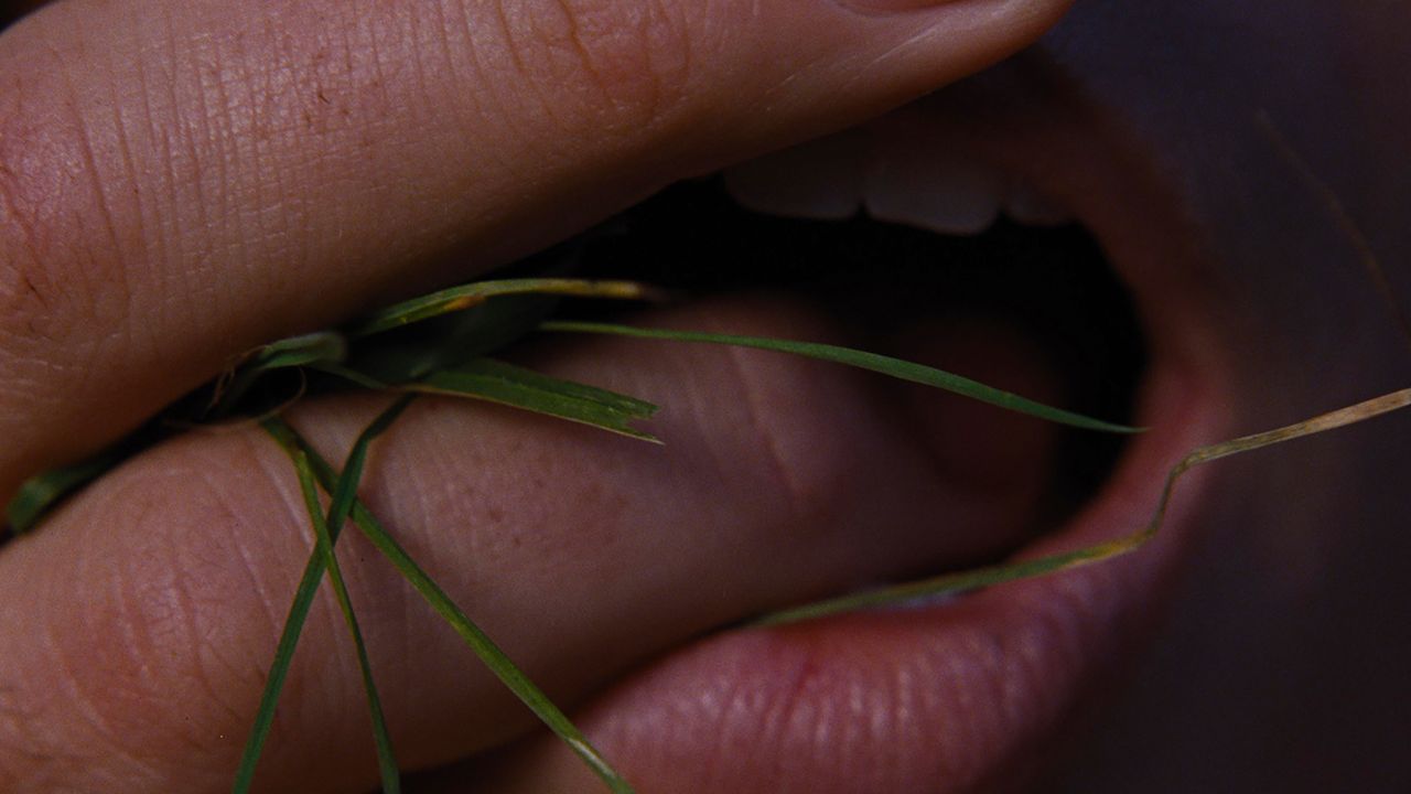 Morro dos Ventos Uivantes: as outras adaptações e aquela música